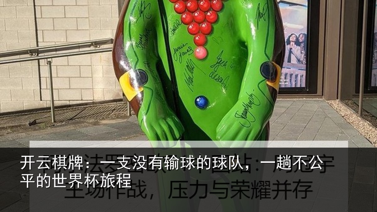 开云棋牌：一支没有输球的球队，一趟不公平的世界杯旅程