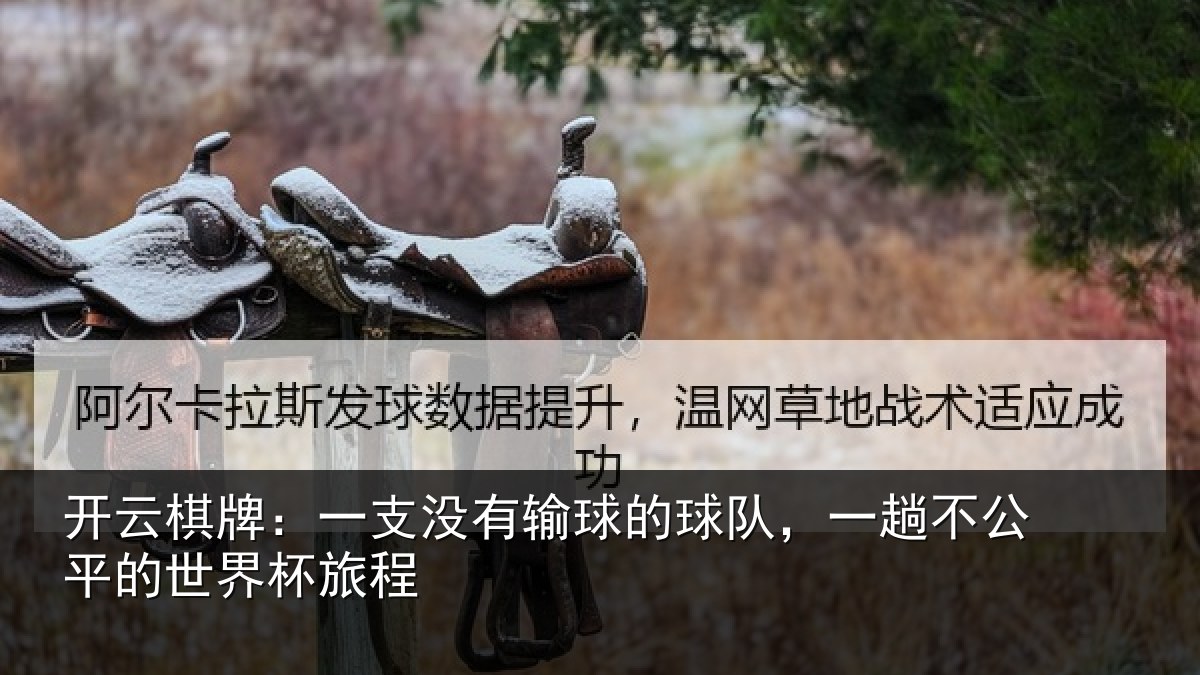开云棋牌：一支没有输球的球队，一趟不公平的世界杯旅程