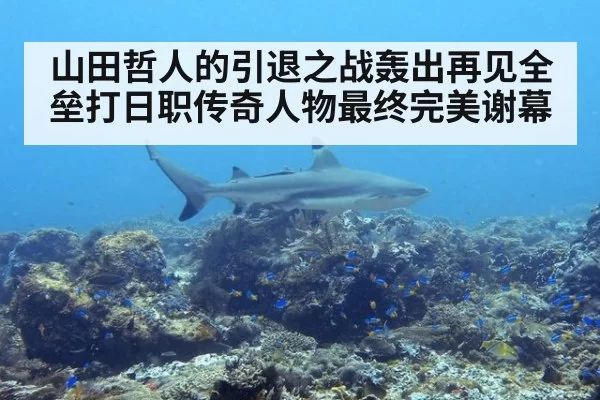 山田哲人的引退之战轰出再见全垒打日职传奇人物最终完美谢幕