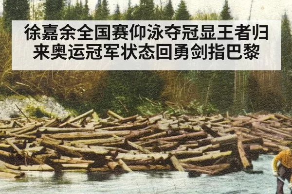 徐嘉余全国赛仰泳夺冠显王者归来奥运冠军状态回勇剑指巴黎